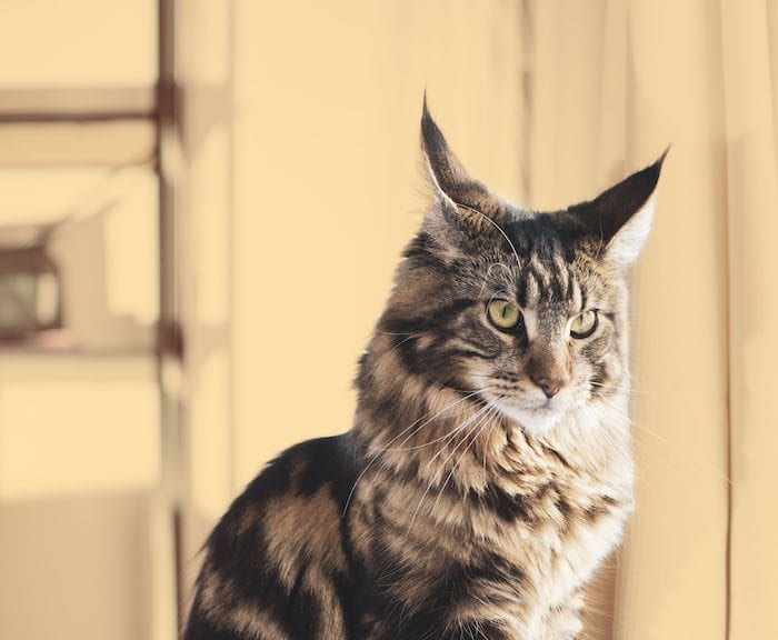 “Het is een heerlijk meisje”