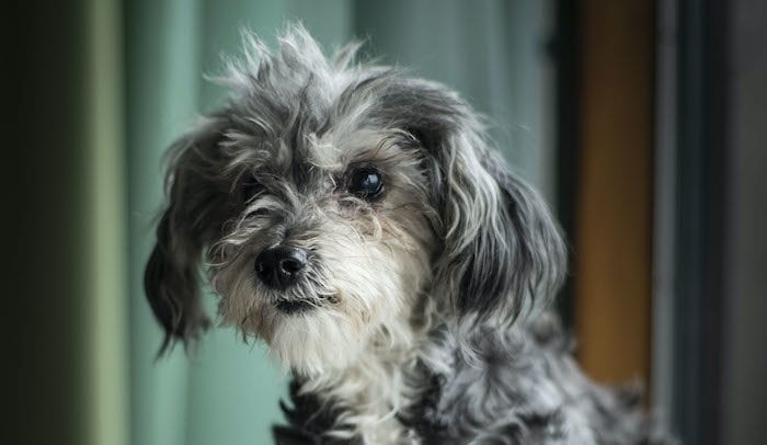 “Ik ben me bewust van de tijd die we nog samen hebben”